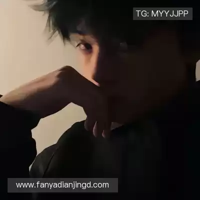 万桢翼